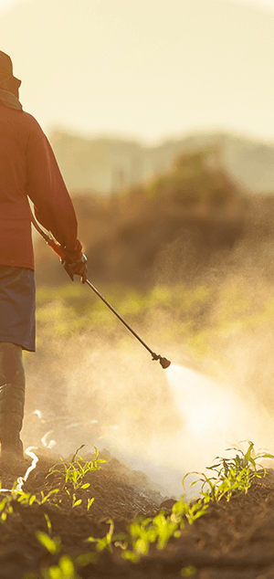 pesticides